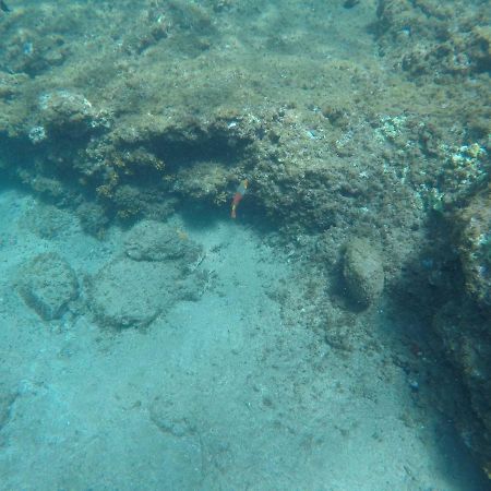 Maravillosas Vistas Al Mar: Sounds Of The Sea อารีนากา ภายนอก รูปภาพ