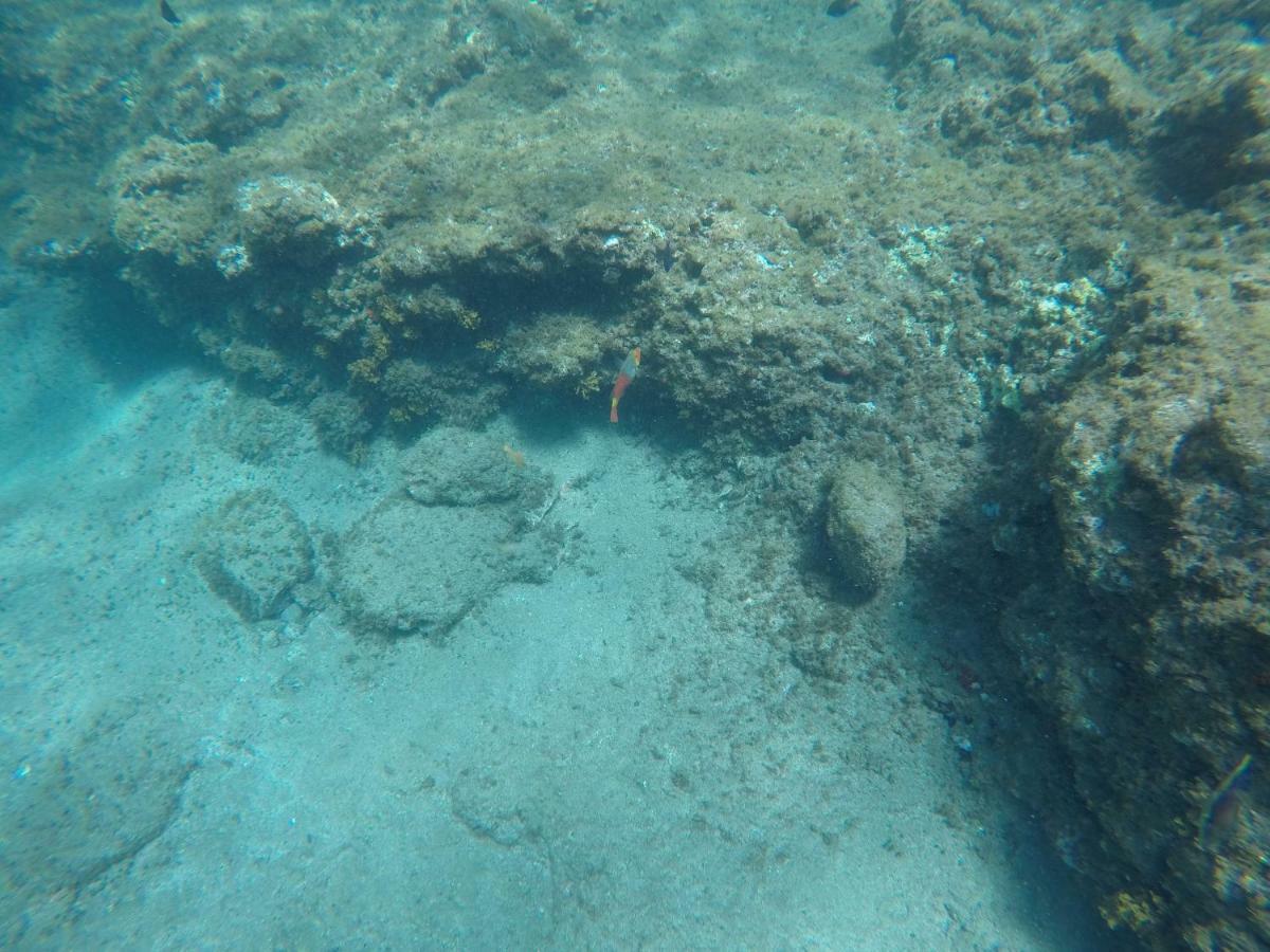 Maravillosas Vistas Al Mar: Sounds Of The Sea อารีนากา ภายนอก รูปภาพ